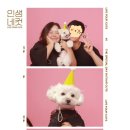 탄앤쿠키 이미지