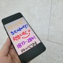 렌탈 버디