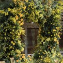 헬렌하우스 이미지