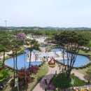 함평나비(무안) 이미지