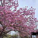 본1리경로당 이미지