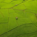 인생의 회전목마 (히사이시 조) 이미지