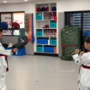 용인대 국가대표 태권도 2관 이미지