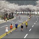 마라톤 Daum카페
