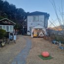 해피독 애견펜션2 이미지