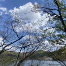 박터졌네 이미지