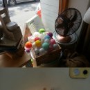 삼십칠점이도