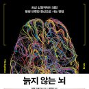 심심브레드