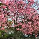 진은이발 | &lt;일본 마쓰야마&gt; 여행 내돈내산 꿀팁꽉꽉 리뷰 / 마쓰야마성, 마쓰야마공원전망대, 체크인마쓰야마