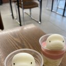 커피애광