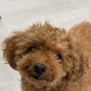 나은동물병원 이미지