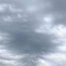 한강시민공원(야구장) | 꽃도 보고 야구장 직관도 가고 나름 바빴던 5월과 6월