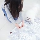 펫플래닛
