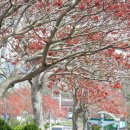 서귀포여자중학교 이미지