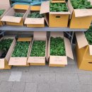 진주팜농약 이미지