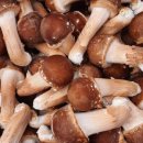 원탑농원 이미지