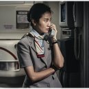 최신영화 비상선언 이미지