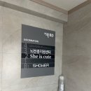 큐트핏 | 쉬이즈큐트 제인셔츠 sheiscute 쇼룸 후기