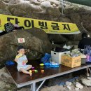 늘푸른계곡 이미지