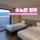 나절로미술관 | 소노캄 경주 - 경주 보문단지 가족여행 숙소 추천 패밀리 뷰프리 취사 2박 후기