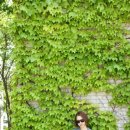(주)호메오헤이리점 | 아기랑 파주헤이리마을 코스 추천