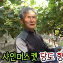 김천아그로 이미지