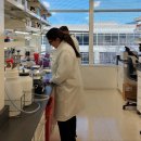 코오롱모빌리티그룹(주) 서대구점 | [2025 재계 인맥 대탐구] 3부 든든한 금융·산업 버팀목 (6)코오롱그룹 - 서울신문