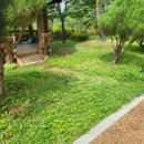 향로산로 이미지