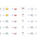 머스트핏 이미지