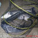 솔하우스 이미지