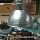 고기마니아 - 고양시 덕양구 통일로780번길 20-3 | 고기마니아