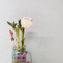 호원초등학교병설유치원 이미지