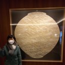 서울대학교 보건대학원 이미지