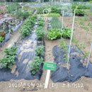 효기농장 이미지