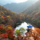 단풍 - 부여군 | 단풍