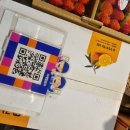 사계절청과 이미지