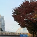 (주)롯데마트(첨단점) 이미지