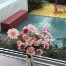 꽃길만걸어요 - 김포시 김포대로 841 | 제주 동쪽 꽃집 #꽃길만걸어요 당일 픽업 후기