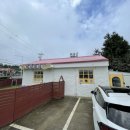 싱글몽글 이미지