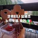 코르티나 담페초 숙소 노드호텔 후기 조식