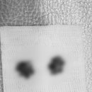 공덕 건강한 동물병원 이미지