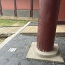 한일자동차병원 | [공부일기] 국가유산 도슨트 티처투어 연수 후기 - 창덕궁편♥️ | 창의적체험활동교육연구회 | 아동...