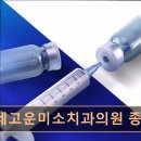 서울고운미소치과교정과치과의원 네이버블로그