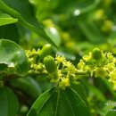 선은농장 이미지