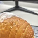포레스트디바