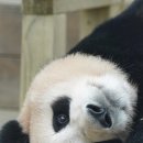 에버민박 이미지