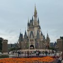 비봉호스릴-7 | 일본🇯🇵 도쿄 디즈니랜드 오픈런 방문 후기 및 DPA&amp;40주년 패스권 사용방법