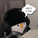 보보커피
