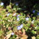 의령고등학교 이미지