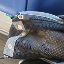 원애견&뭉까두까 이미지